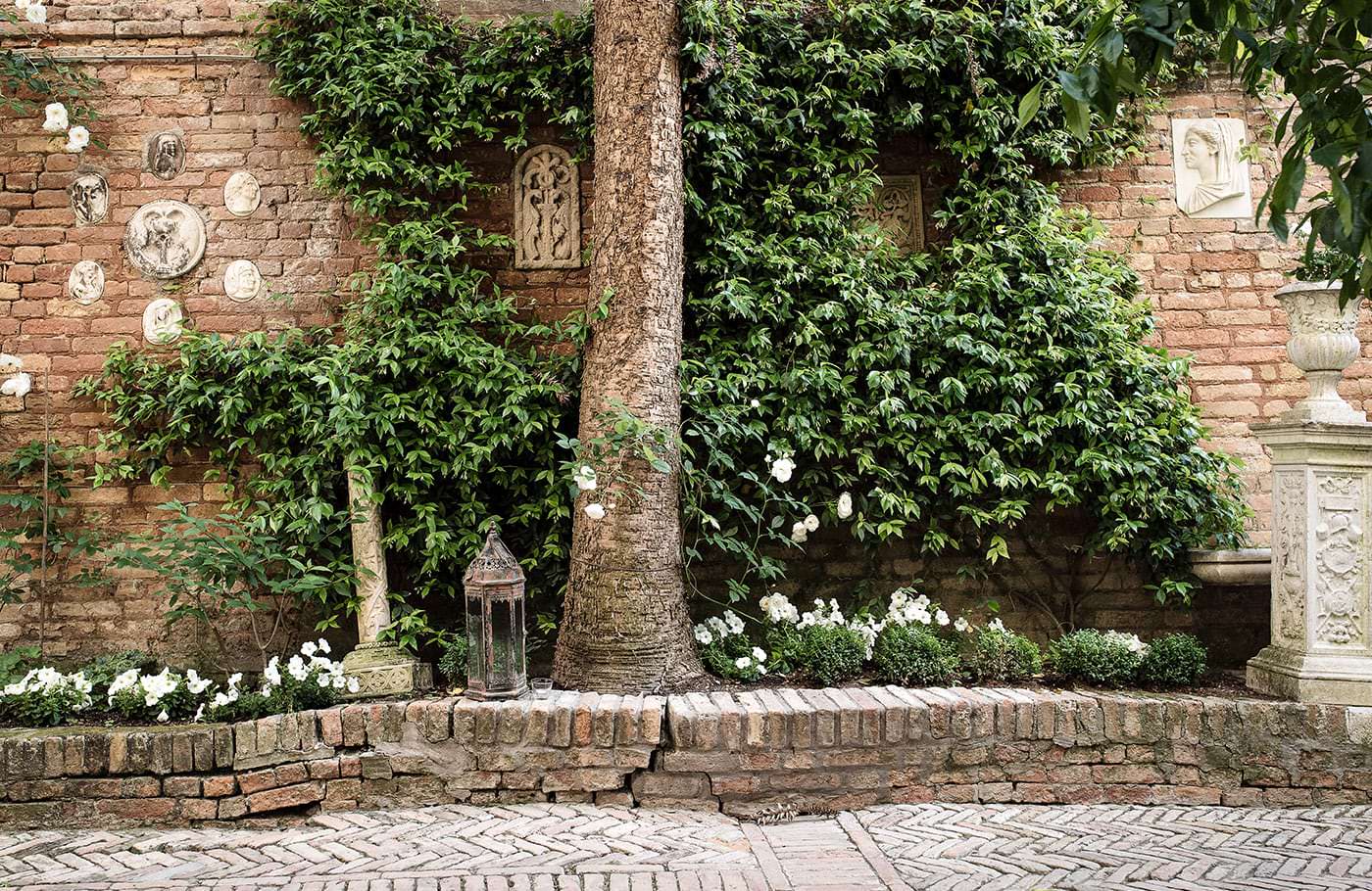 Corte delle Rose Venezia photo